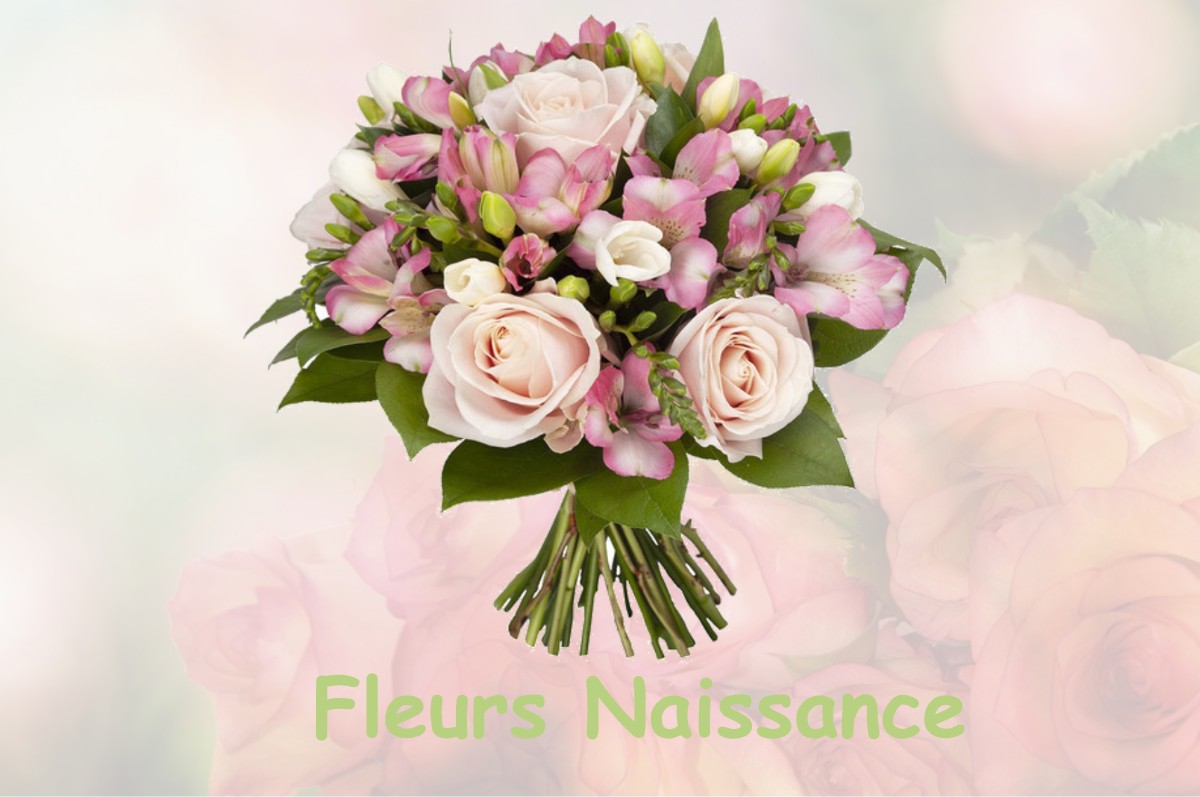 fleurs naissance LE-QUESNOY-EN-ARTOIS