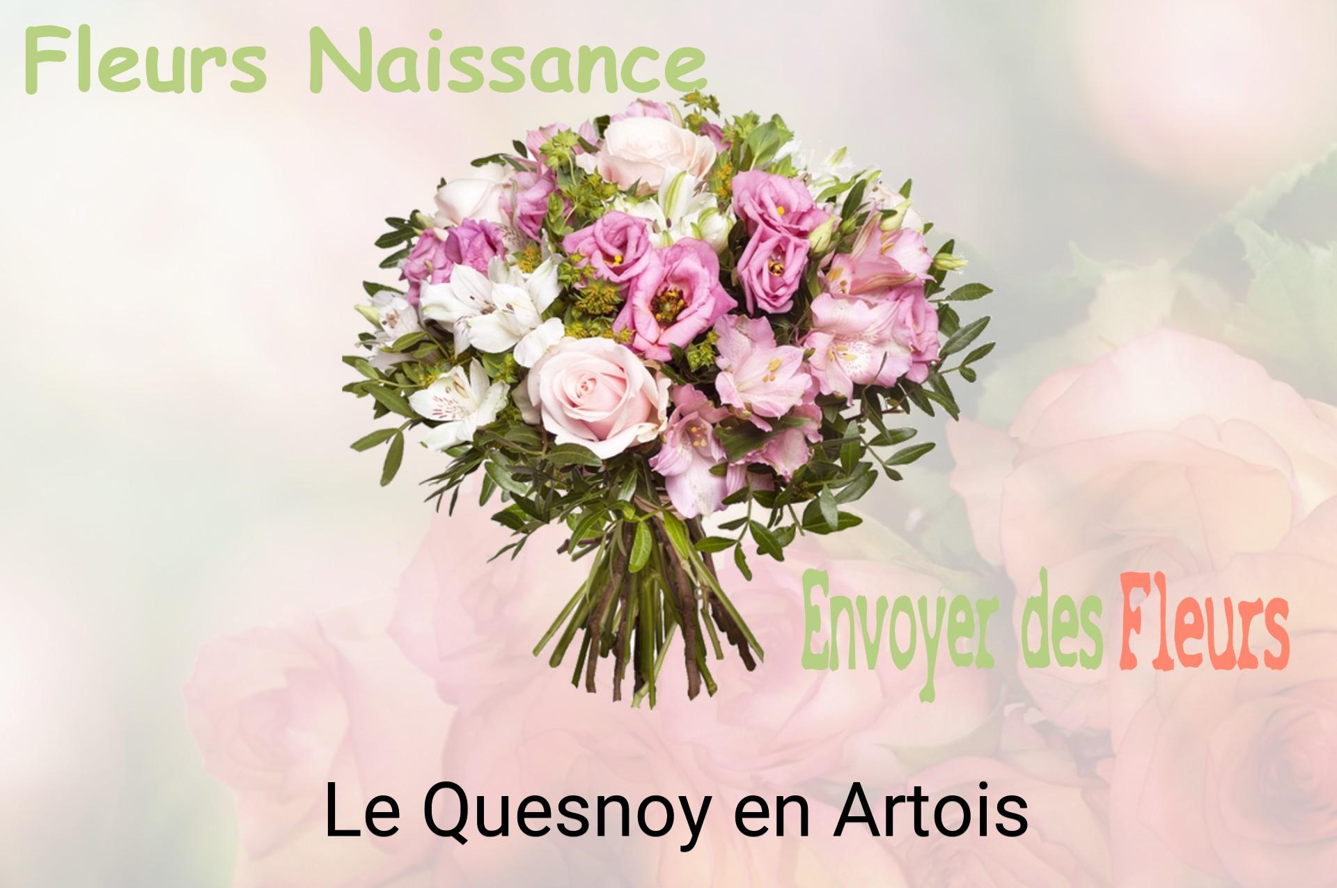 Bouquet de fleurs de naissance livré à Le Quesnoy-en-Artois
